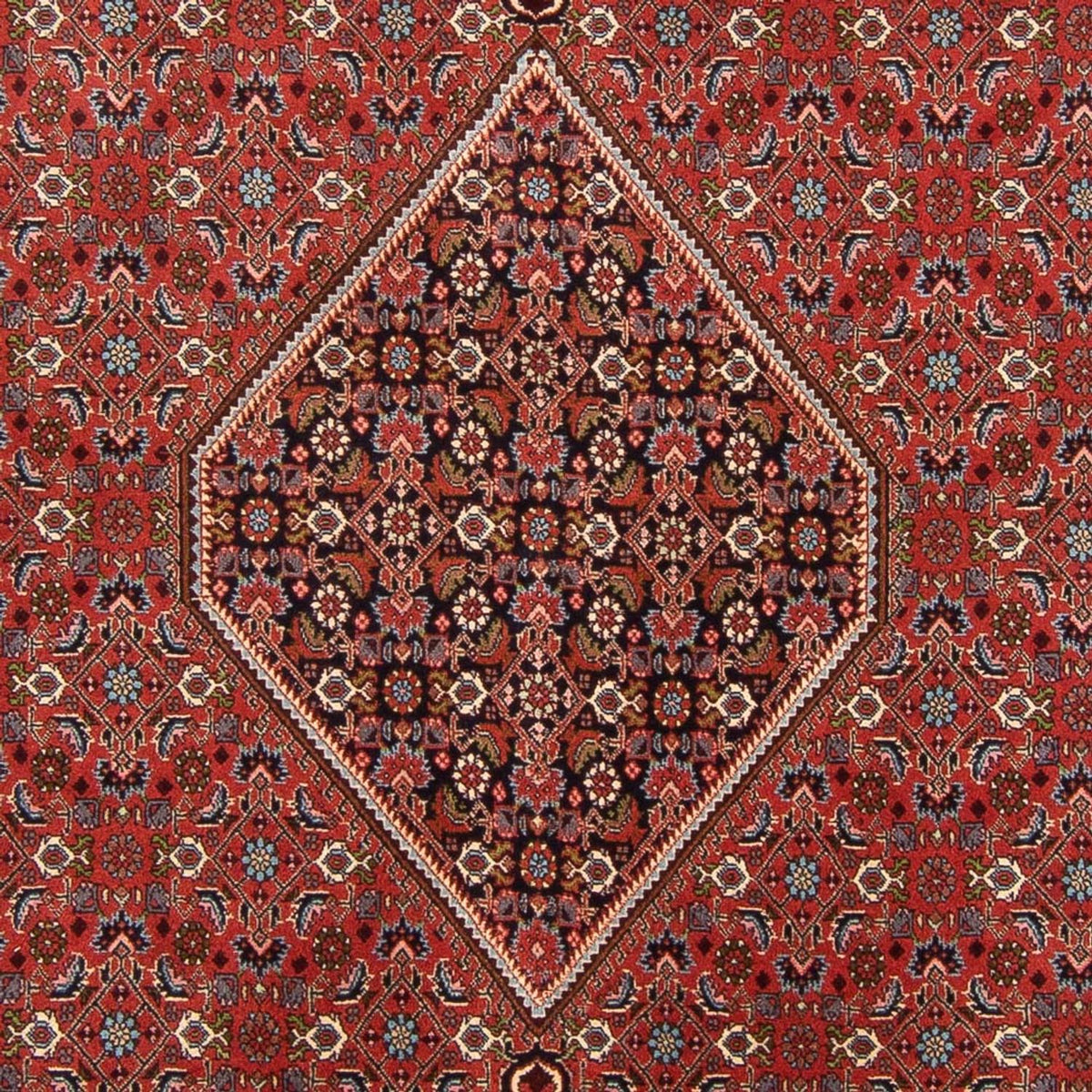 Perser Rug - Bidjar - 310 x 200 cm - red