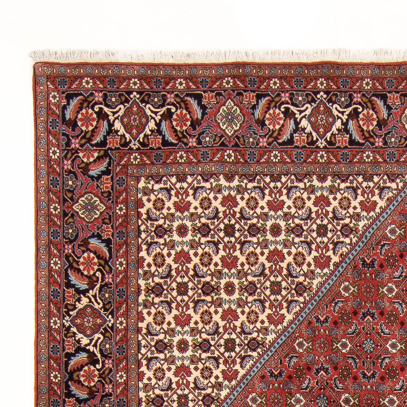 Bidjar - Bukan Rug 310x200cm - Persian Rugs
