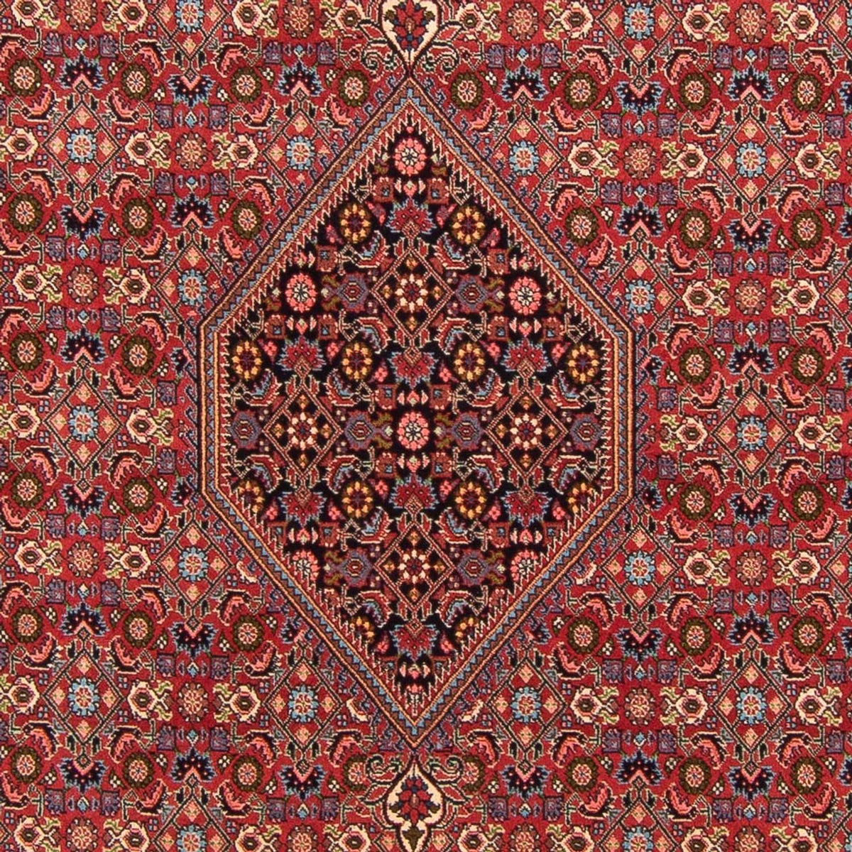 Perser Rug - Bidjar - 302 x 199 cm - red