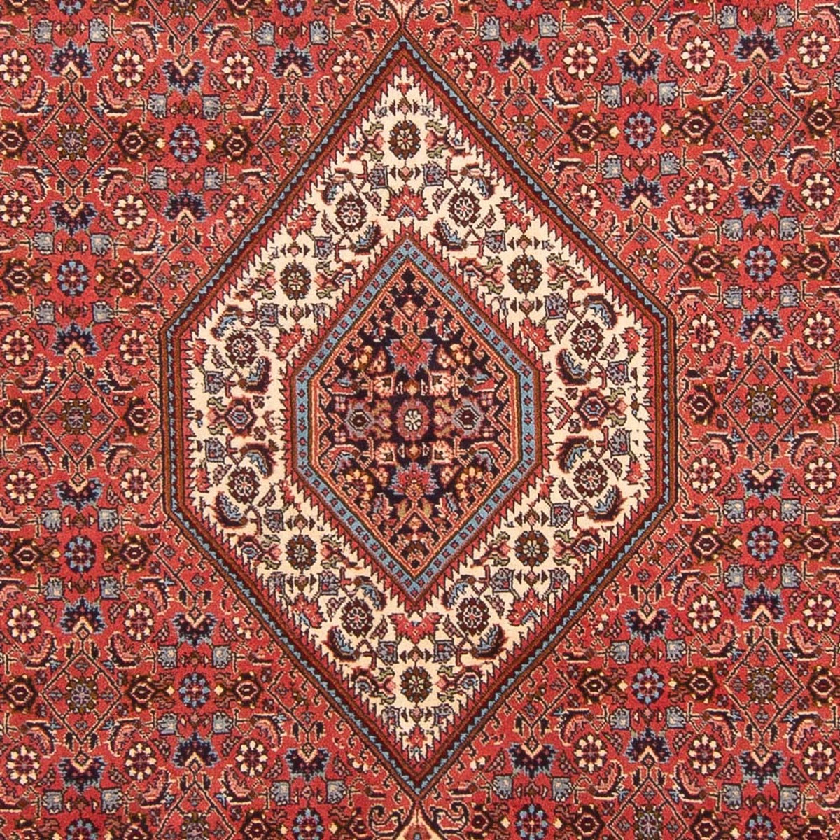 Perser Rug - Bidjar - 290 x 204 cm - red
