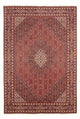Bidjar - Bukan Rug 298x200cm - Persian Rugs