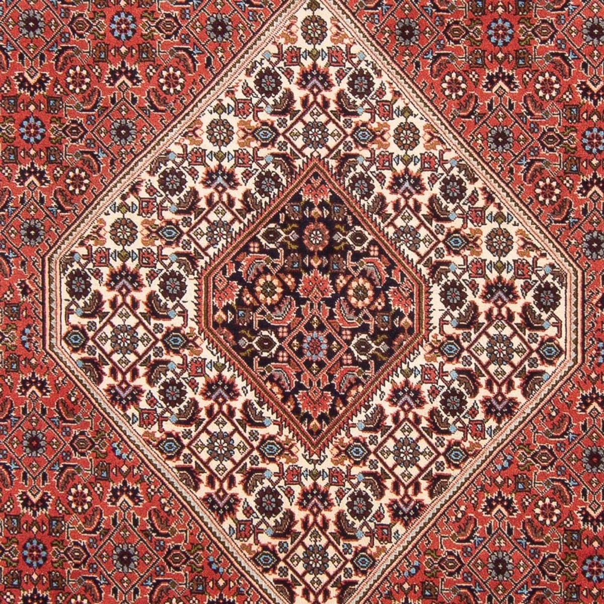 Perser Rug - Bidjar - 288 x 200 cm - red