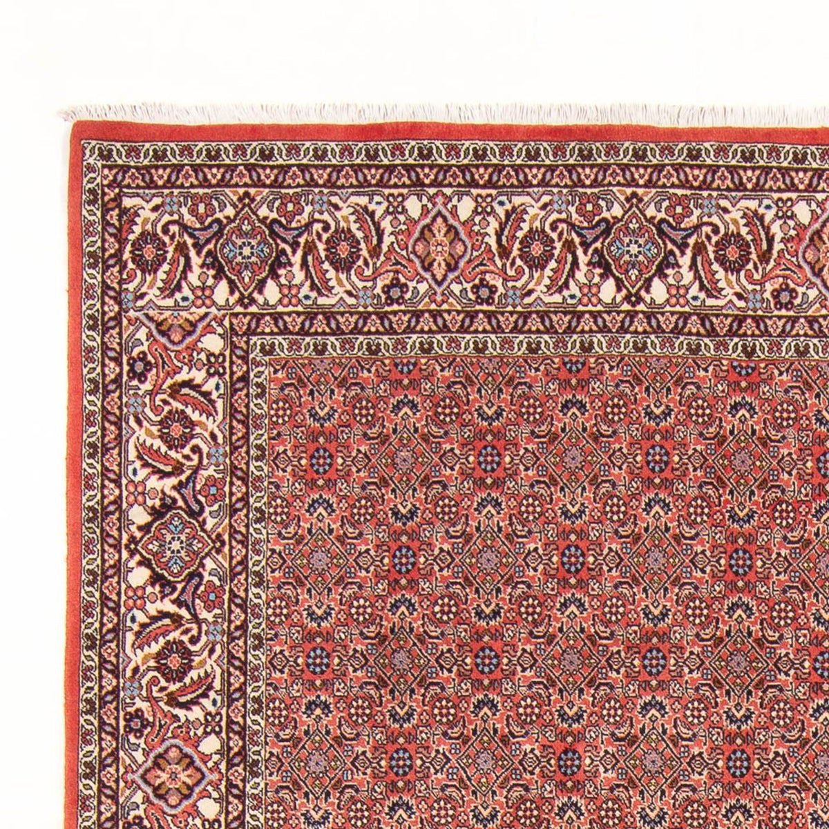 Perser Rug - Bidjar - 298 x 196 cm - red