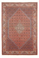 Bidjar - Bukan Rug 295x200cm - Persian Rugs