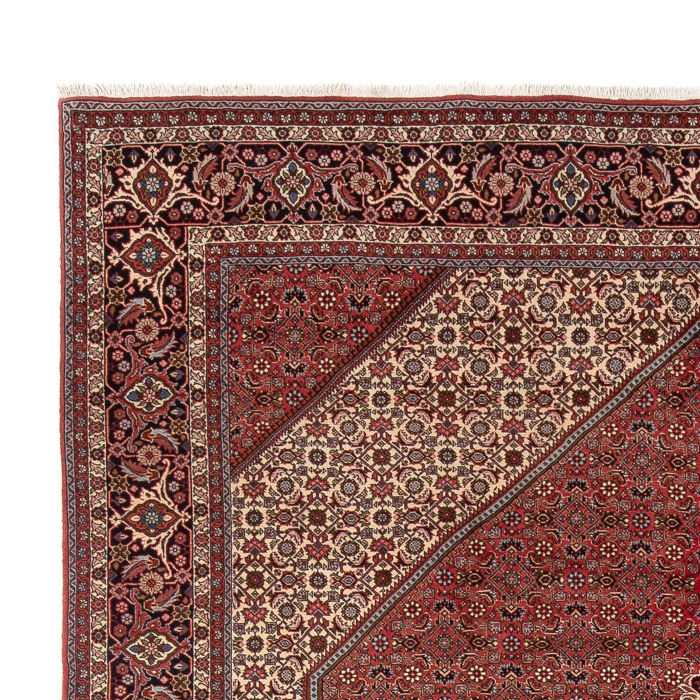Bidjar - Bukan Rug 348x250cm - Persian Rugs