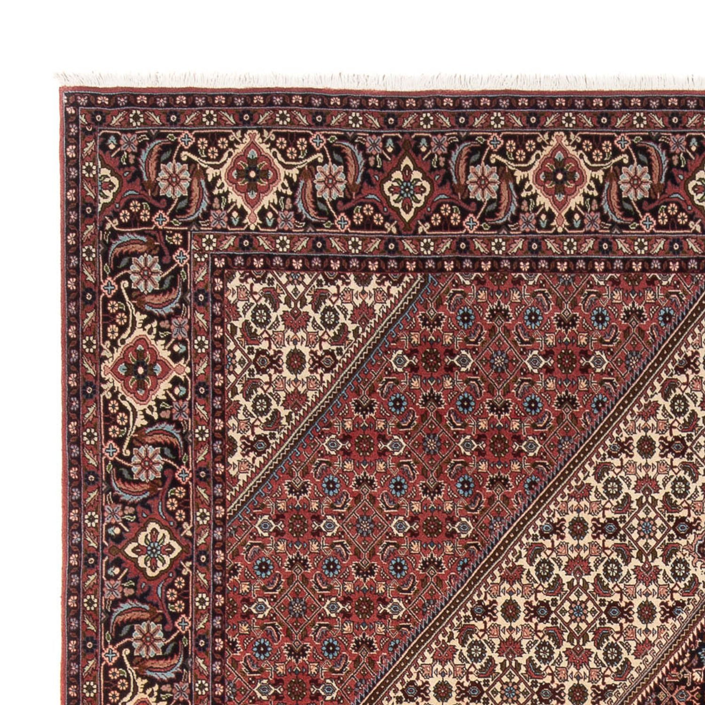Bidjar - Bukan Rug 296x252cm - Persian Rugs