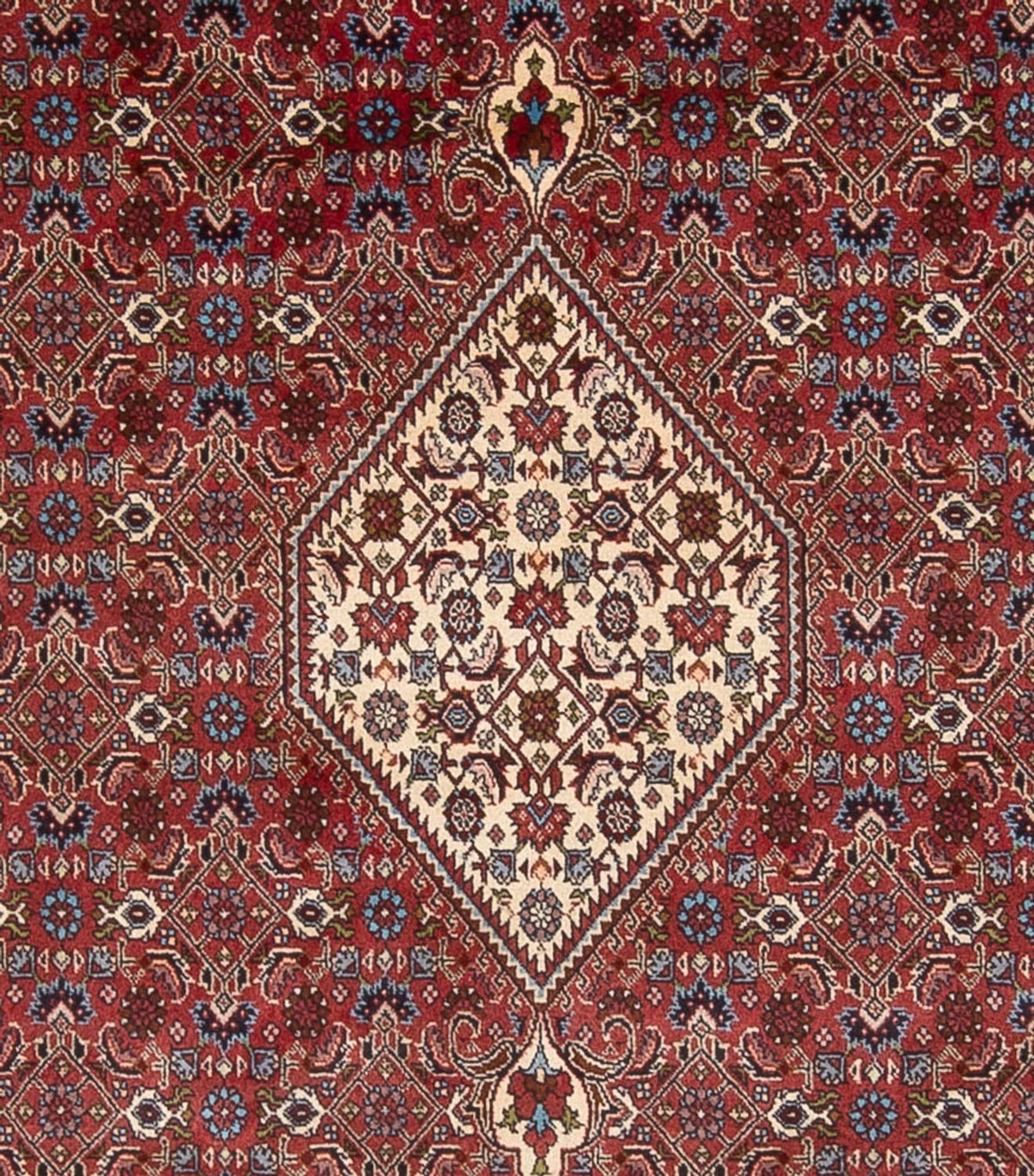 Perser Rug - Bidjar - 294 x 253 cm - dark red
