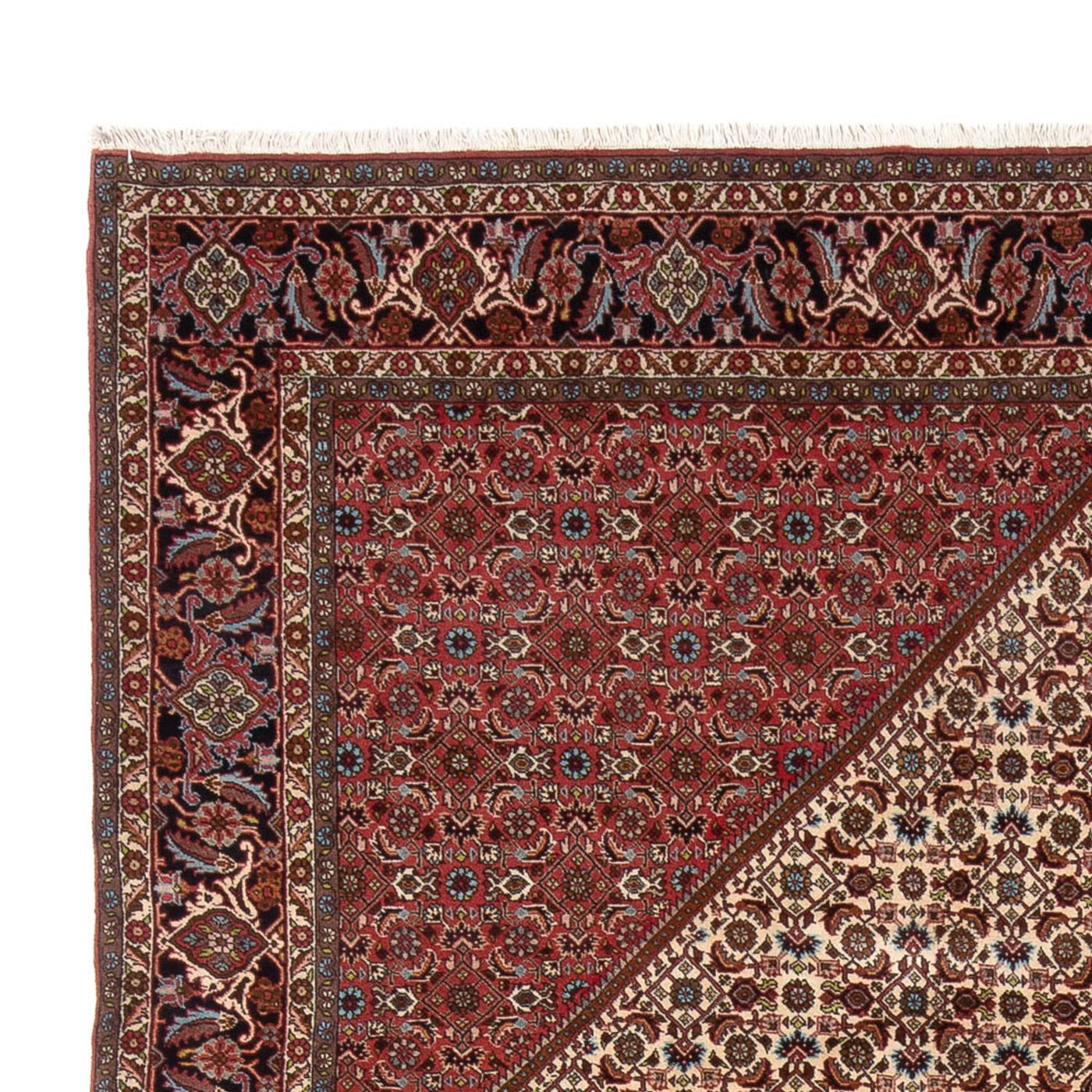 Bidjar - Bukan Rug 336x251cm - Persian Rugs