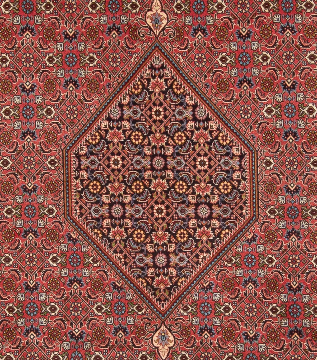 Perser Rug - Bidjar - 348 x 250 cm - red