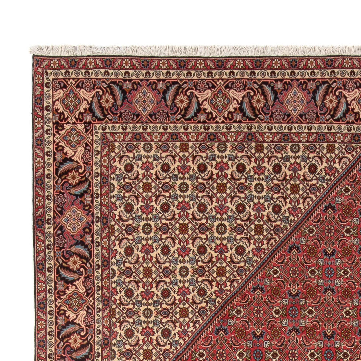 Bidjar - Bukan Rug 348x250cm - Persian Rugs