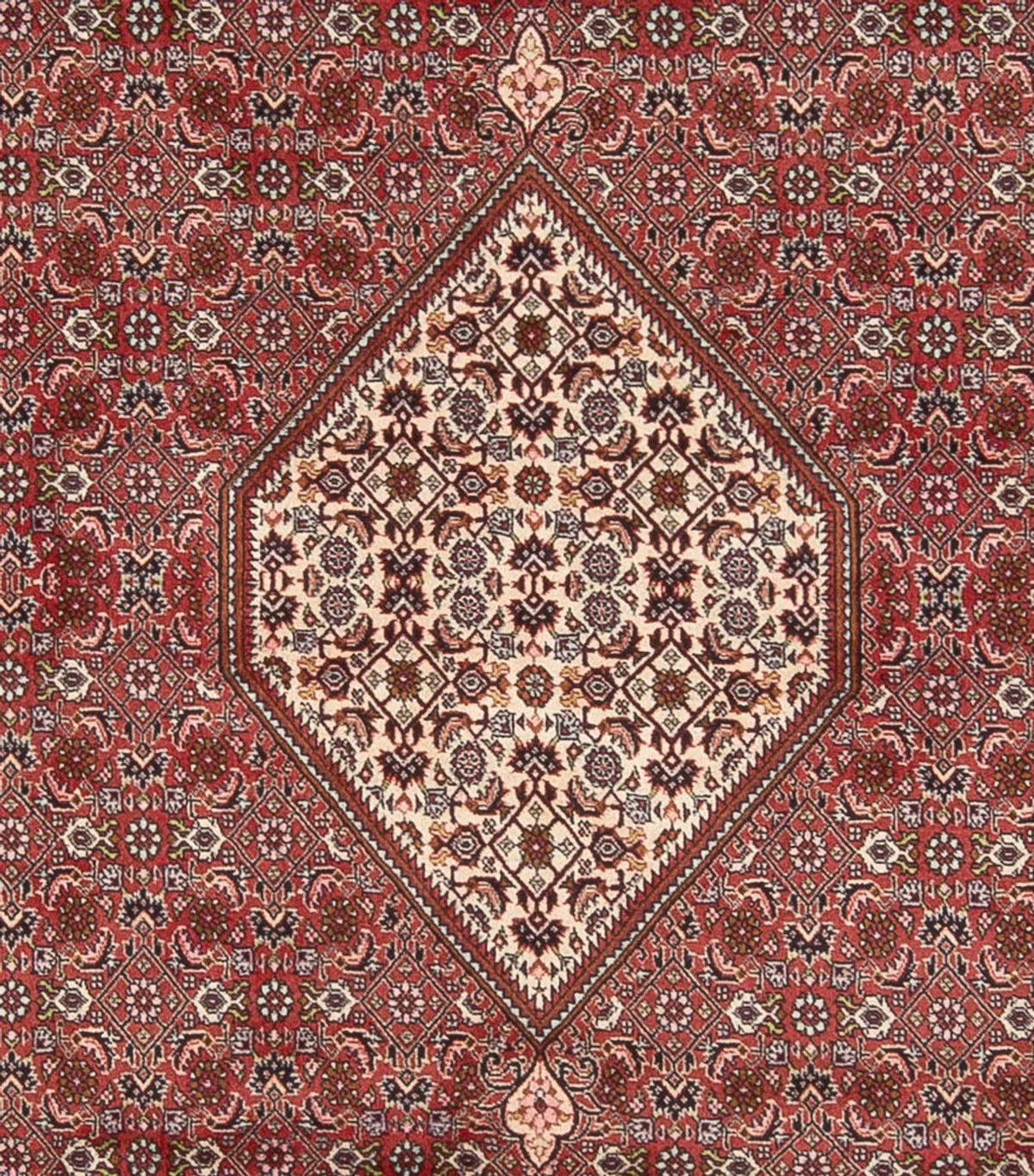 Perser Rug - Bidjar - 343 x 250 cm - dark red