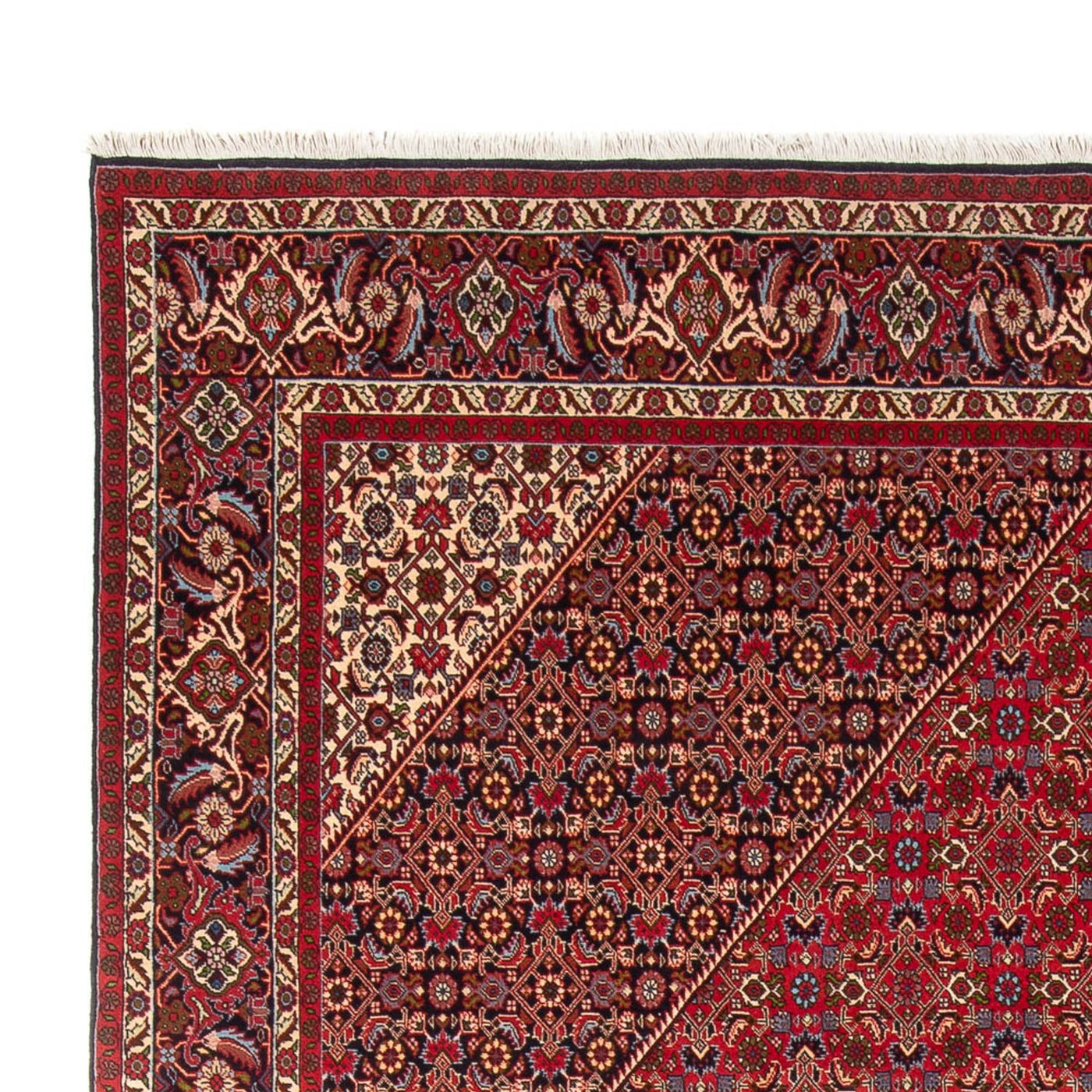 Bidjar - Bukan Rug 358x249cm - Persian Rugs