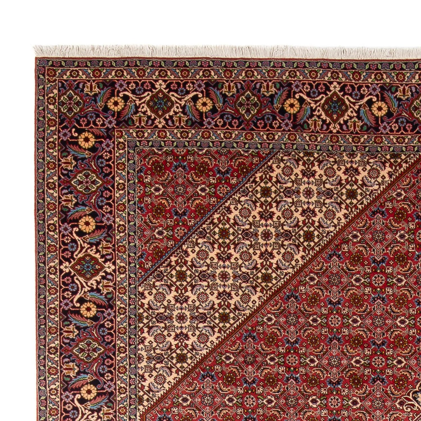Bidjar - Bukan Rug 339x249cm - Persian Rugs