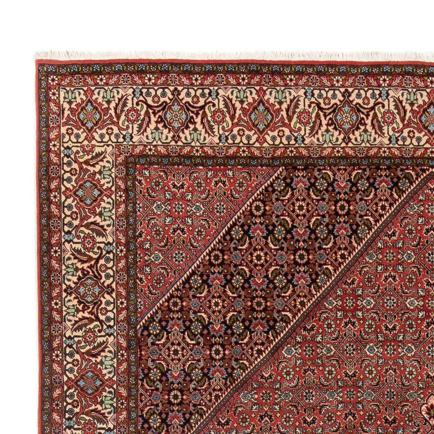 Bidjar - Bukan Rug 334x248cm - Persian Rugs
