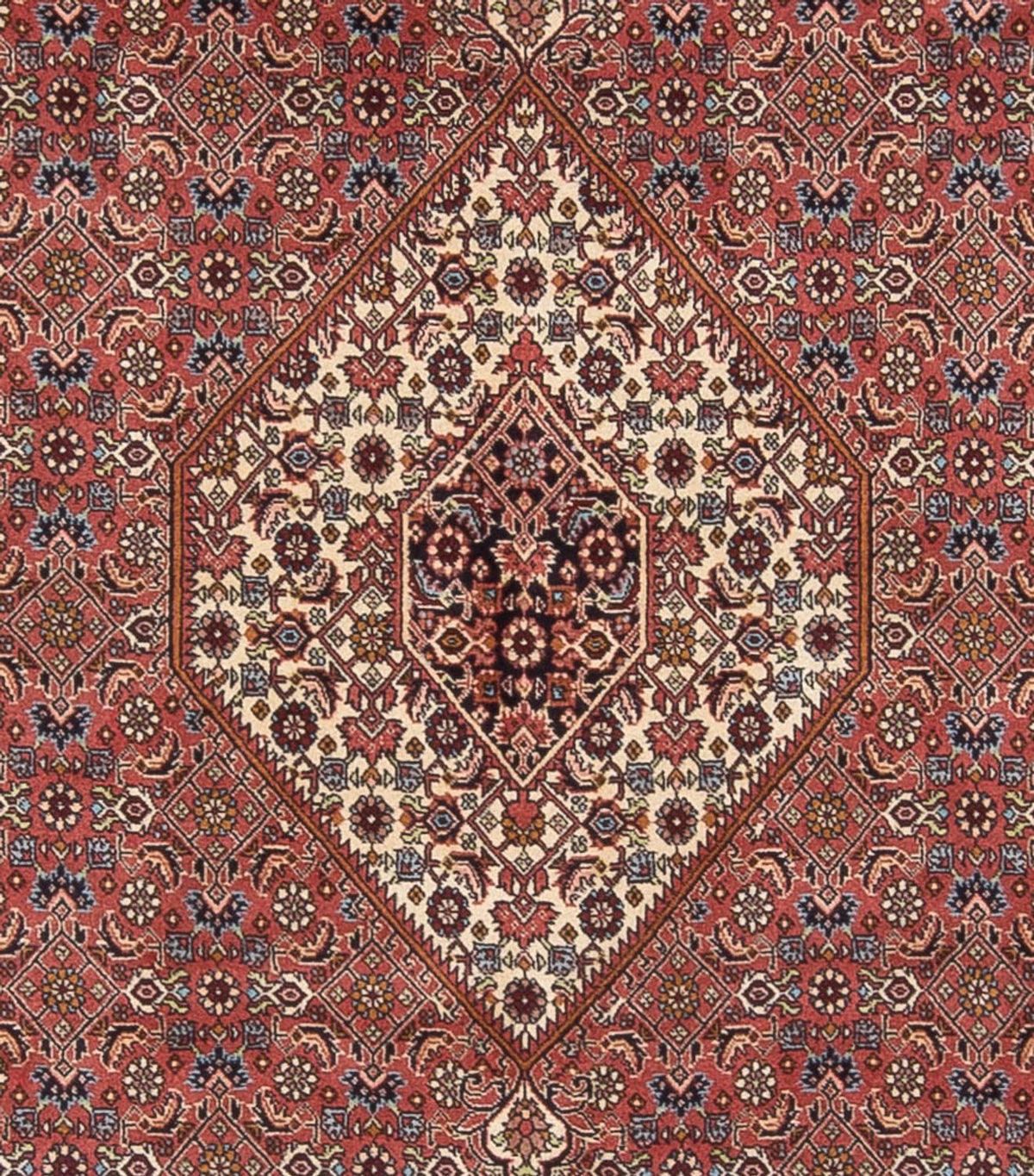 Perser Rug - Bidjar - 299 x 244 cm - dark red