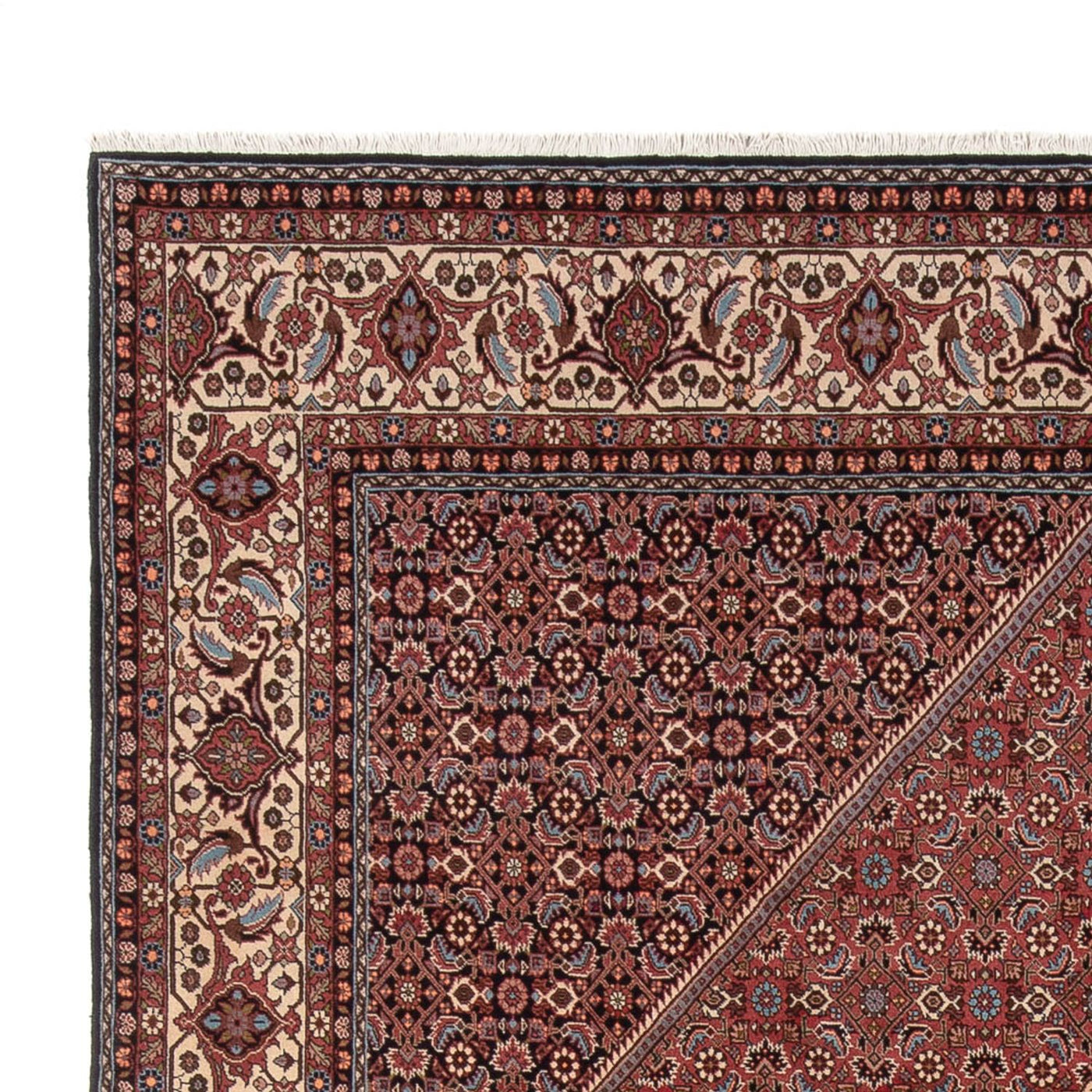 Bidjar - Bukan Rug 350x247cm - Persian Rugs