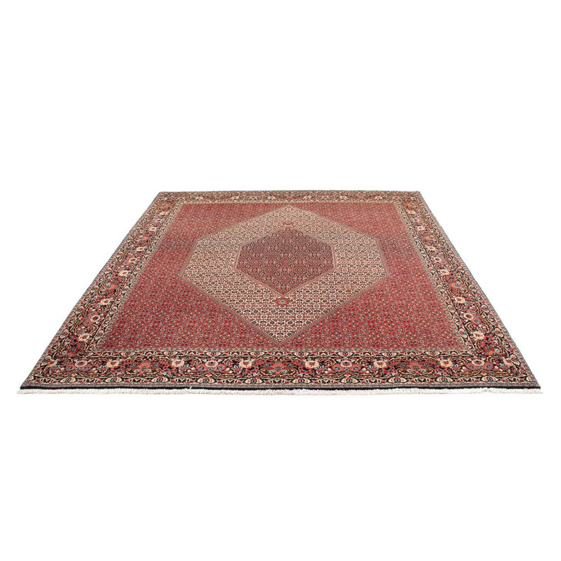 Perser Rug - Bidjar - 300 x 253 cm - cream