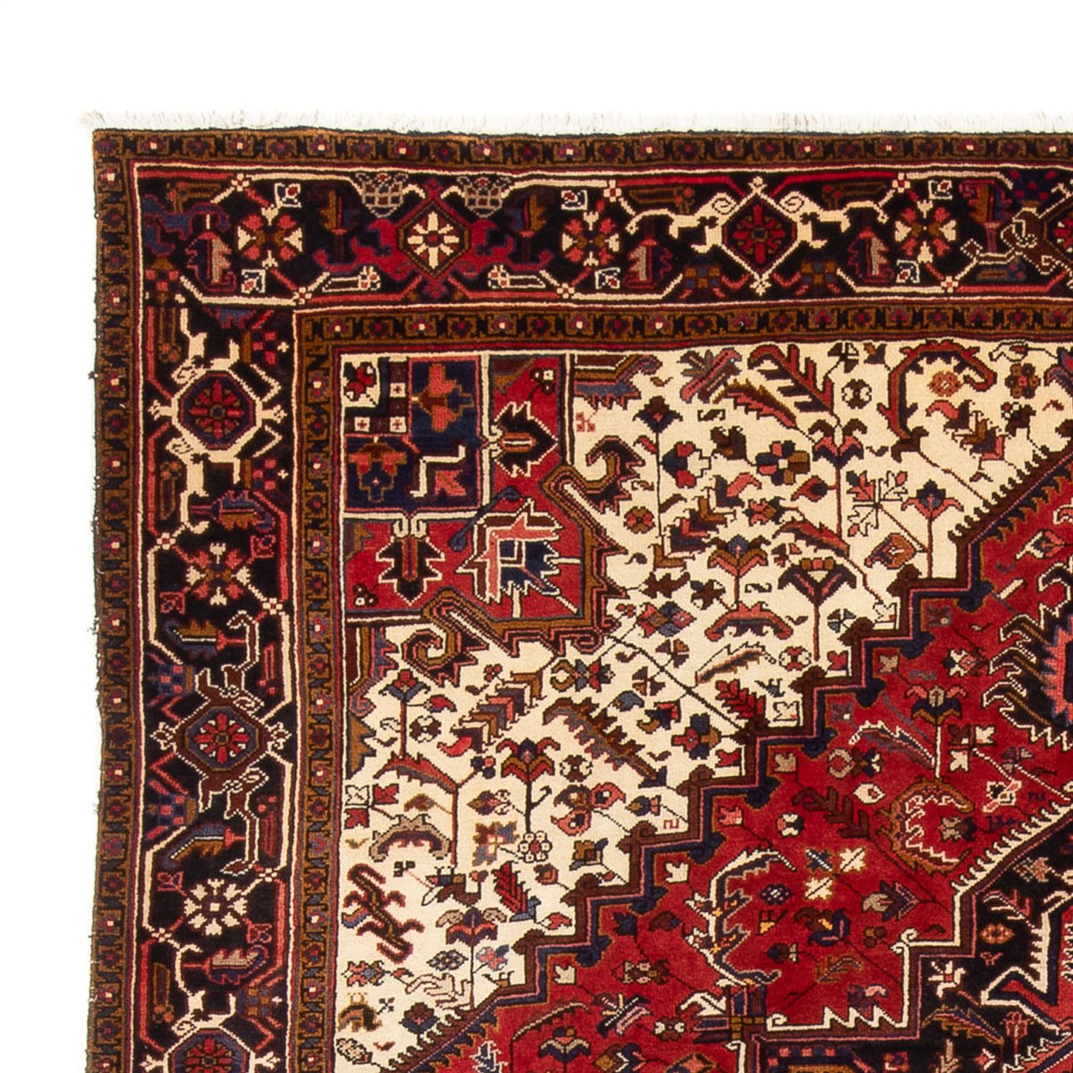 Perser Rug - Nomadic - 339 x 243 cm - cream