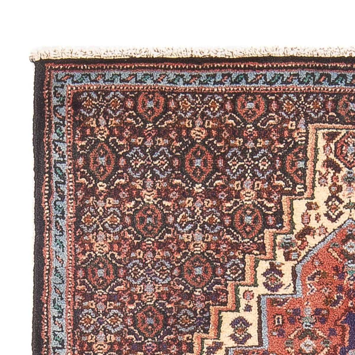 Senneh Rug 73x100cm - Persian Rugs