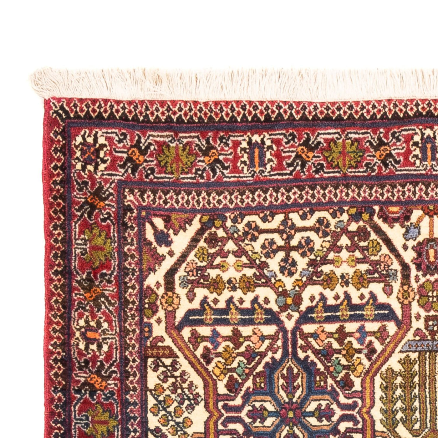 Ardabil Rug 160x105cm - Persian Rugs