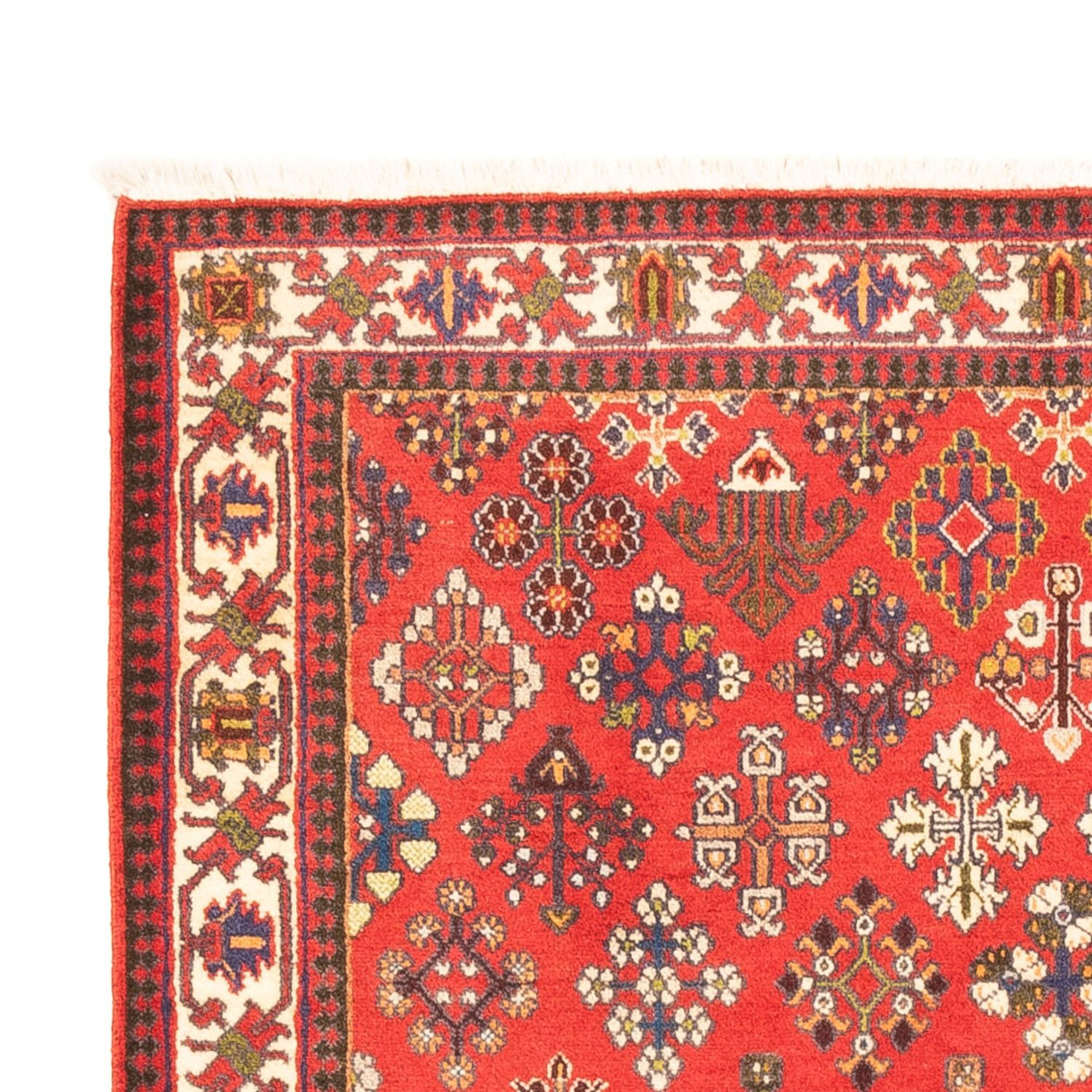 Meymeh Rug 154x107cm - Persian Rugs
