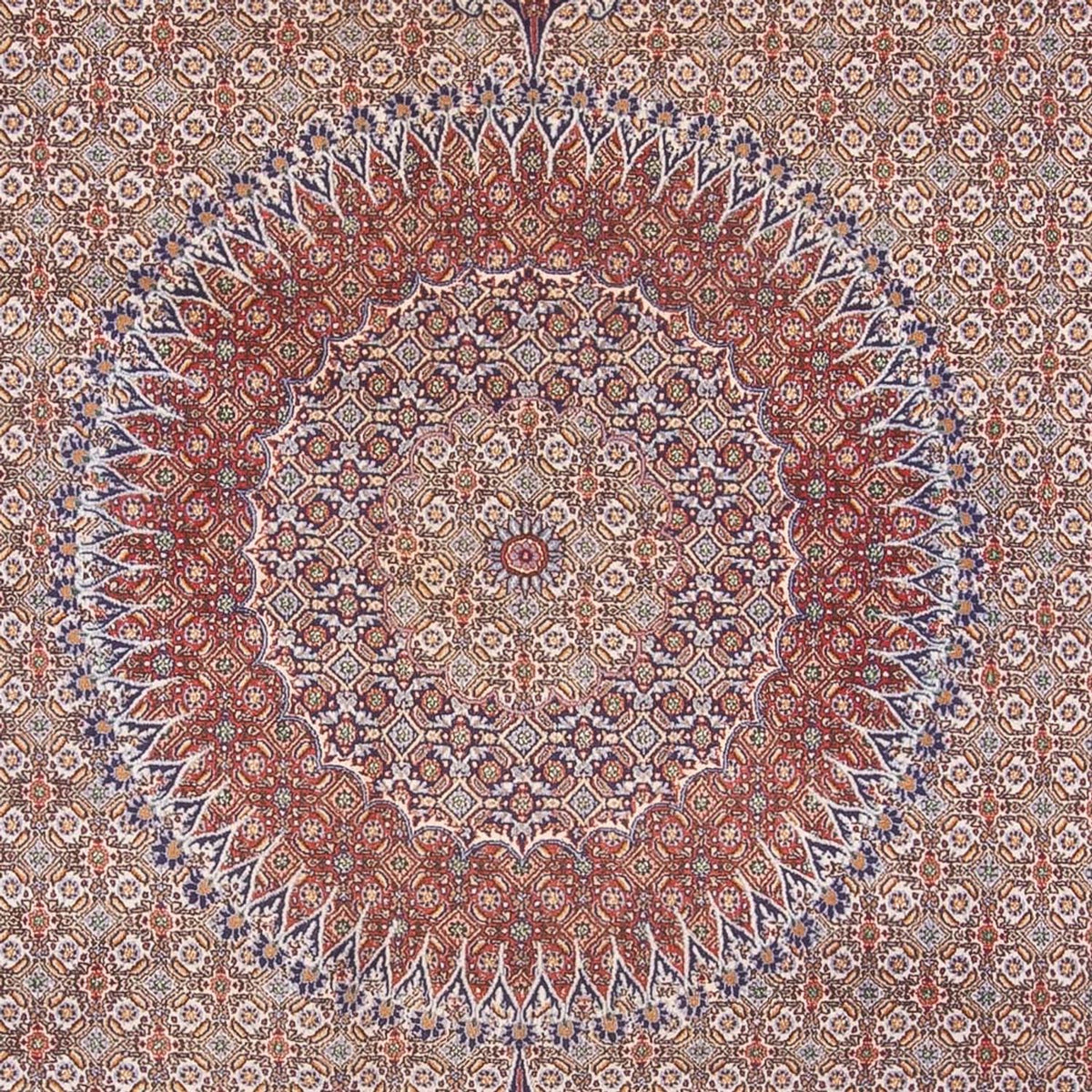 Perser Rug - Classic - 388 x 293 cm - dark beige