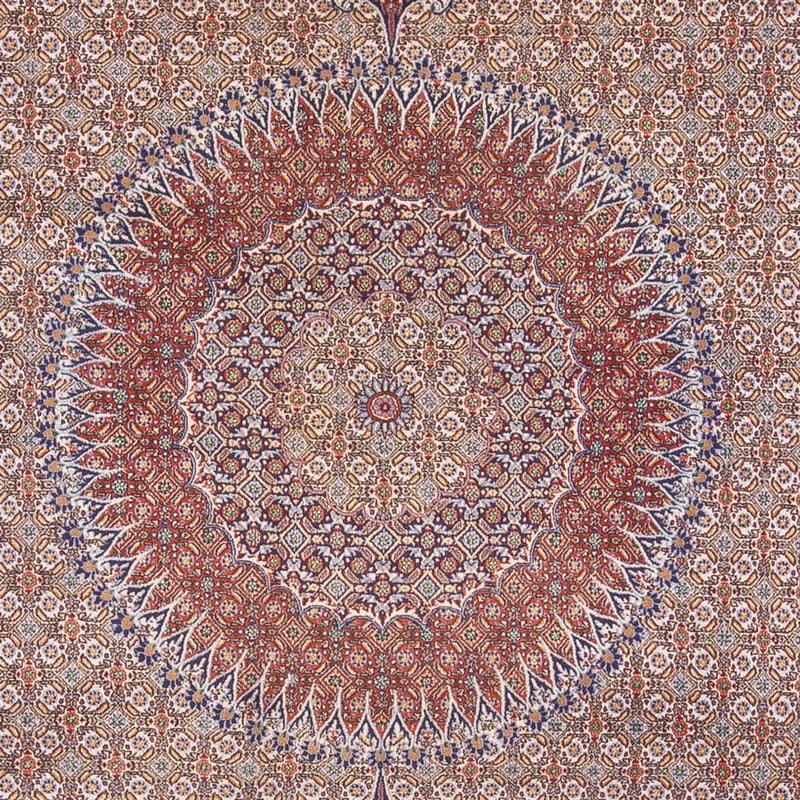 Perser Rug - Classic - 388 x 293 cm - dark beige