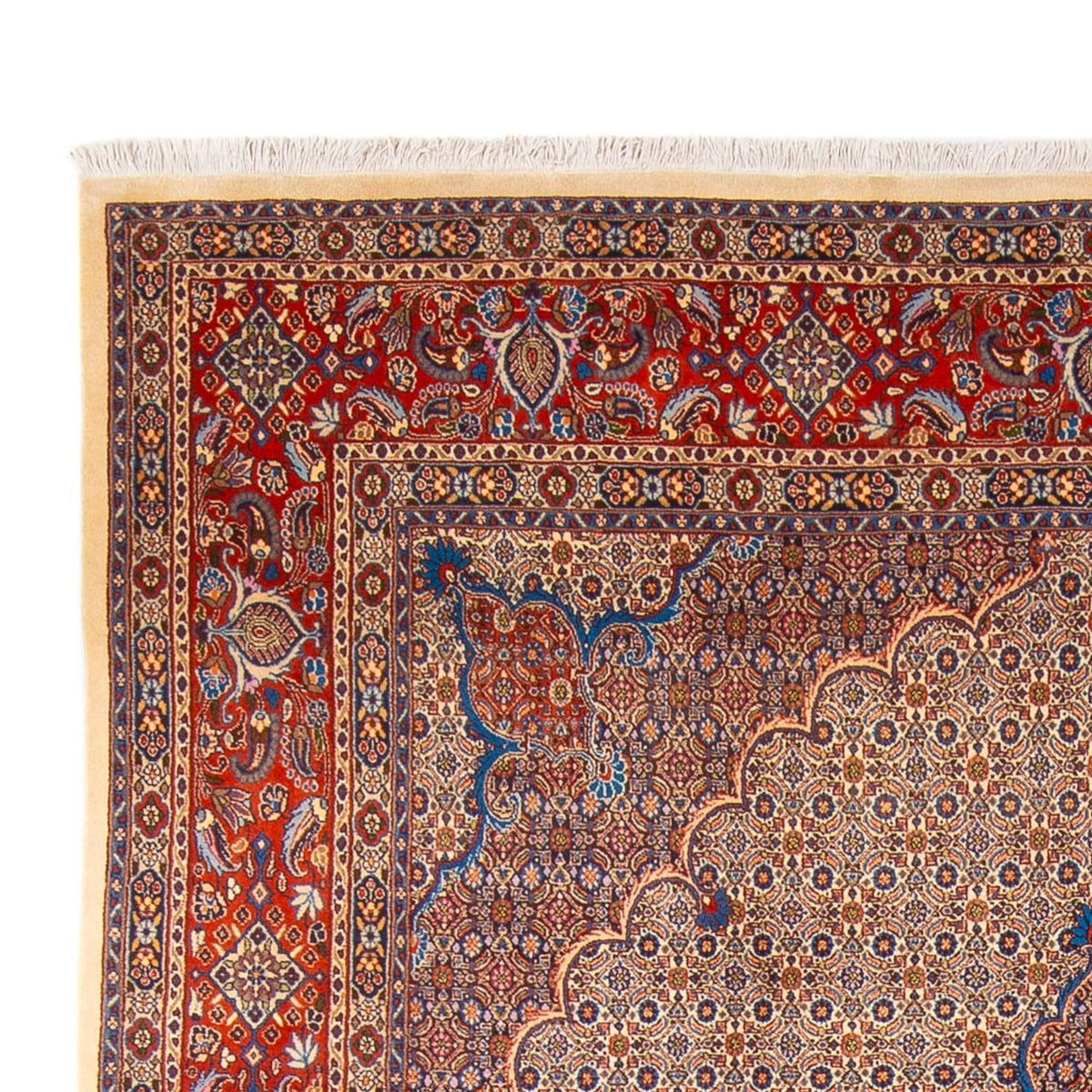 Moud Rug 252x360cm - Persian Rugs