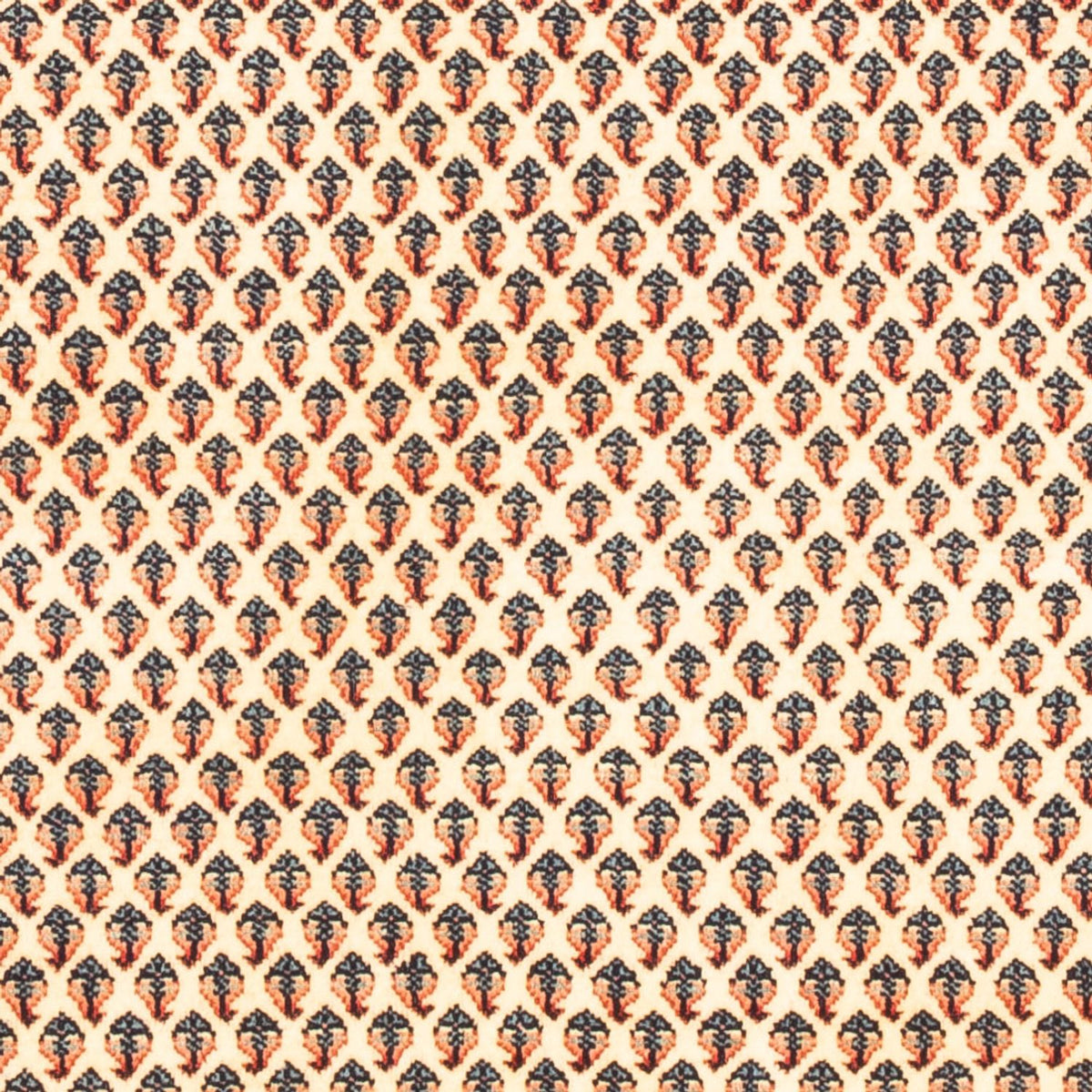 Perser Rug - Mir - 158 x 110 cm - cream