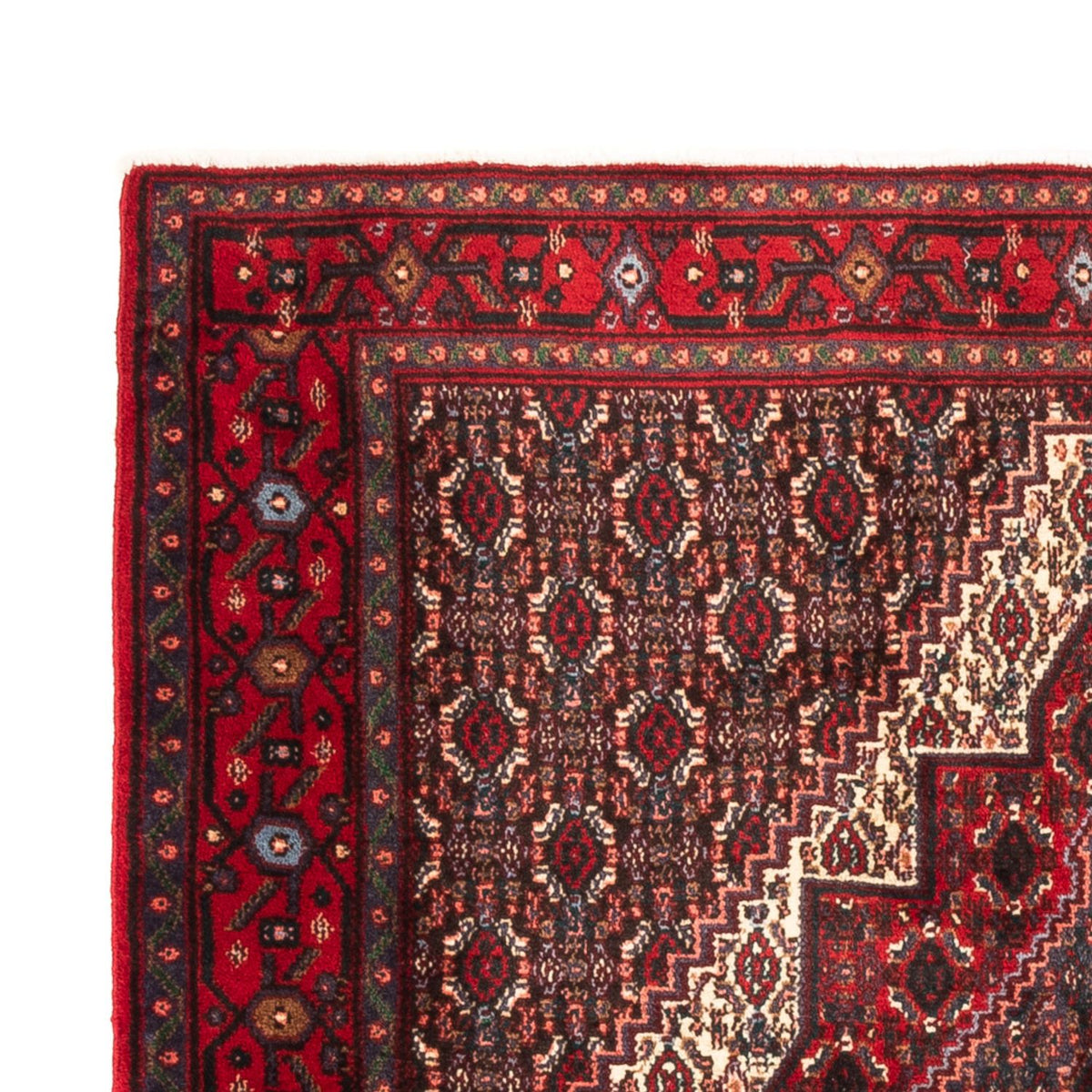 Perser Rug - Classic - 145 x 123 cm - dark blue