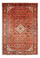 Kolyai Rug 314x216cm - Persian Rugs