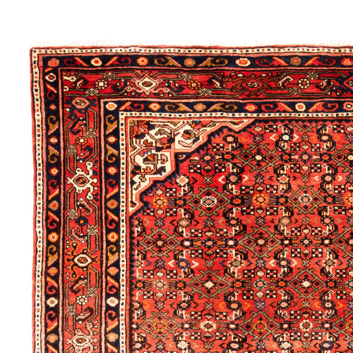 Kolyai Rug 314x216cm - Persian Rugs