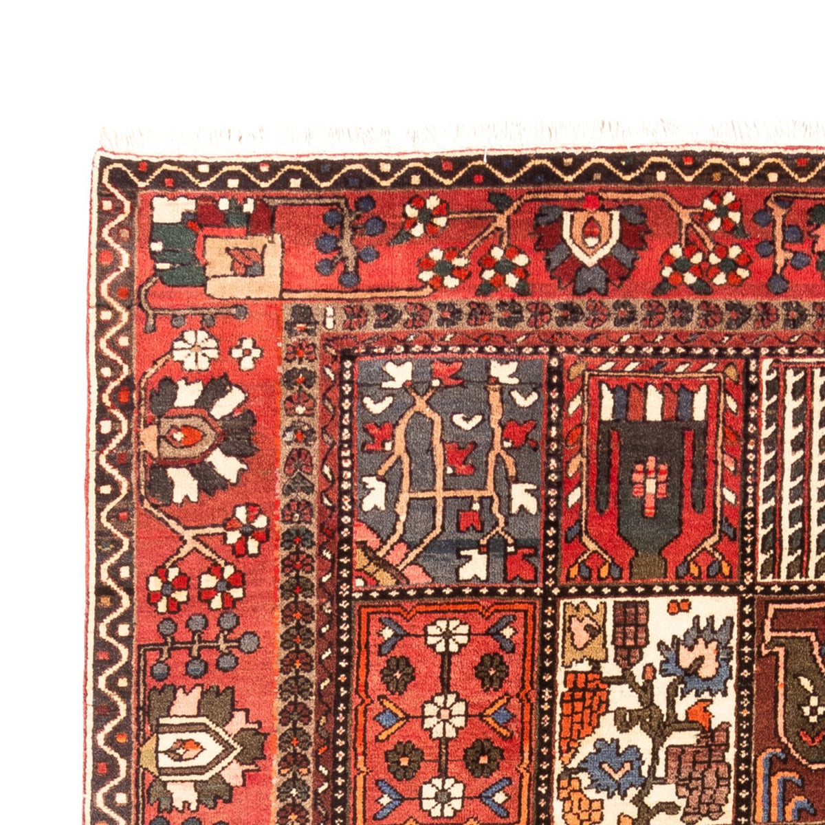 Perser Rug - Nomadic - 314 x 207 cm - multicolored