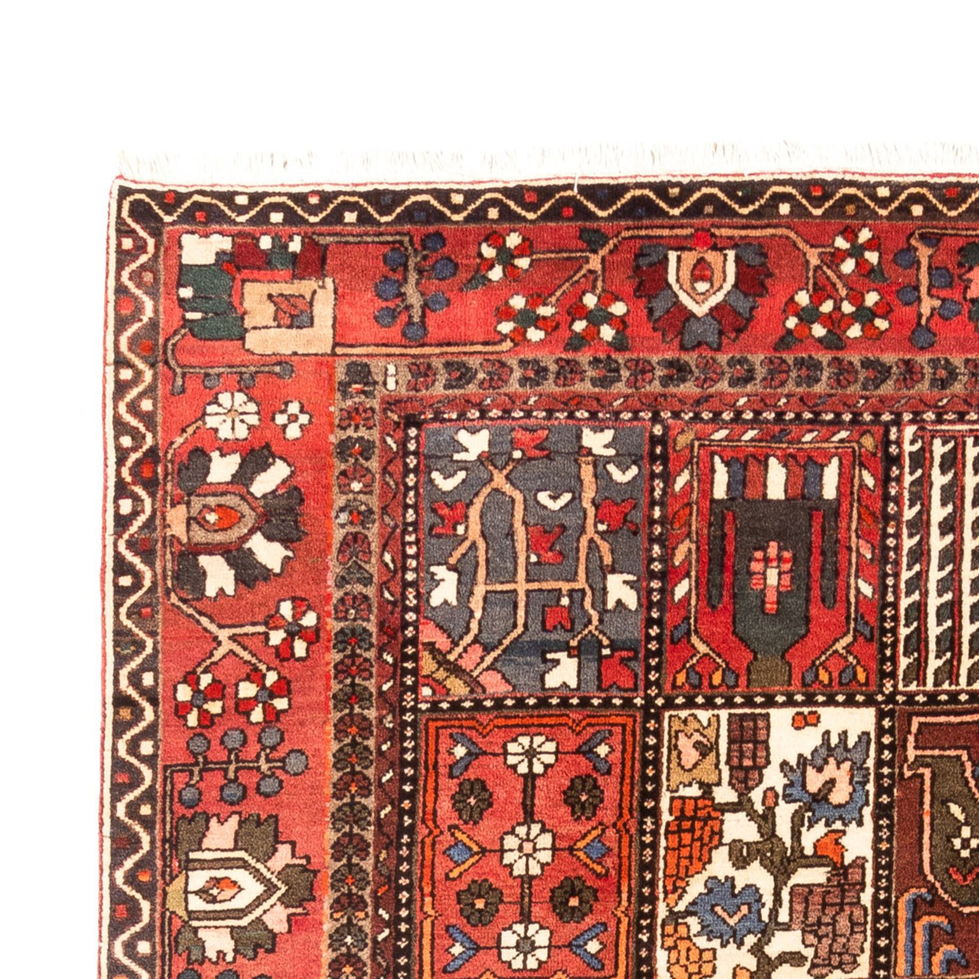 Bakhtiari Rug 314x207cm - Persian Rugs