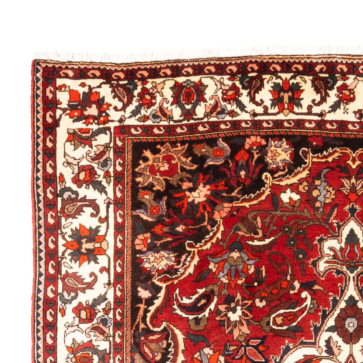 Bakhtiari Rug 210x305cm - Persian Rugs