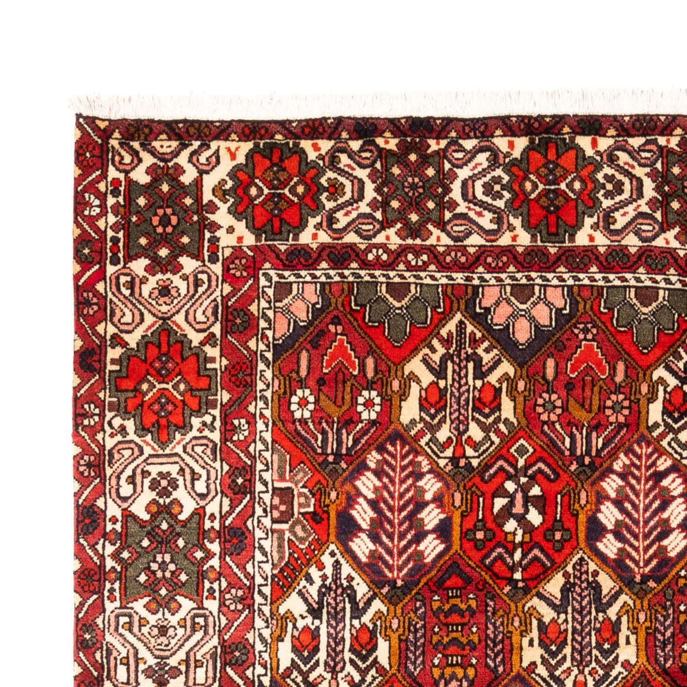 Bakhtiari Rug 310x210cm - Persian Rugs
