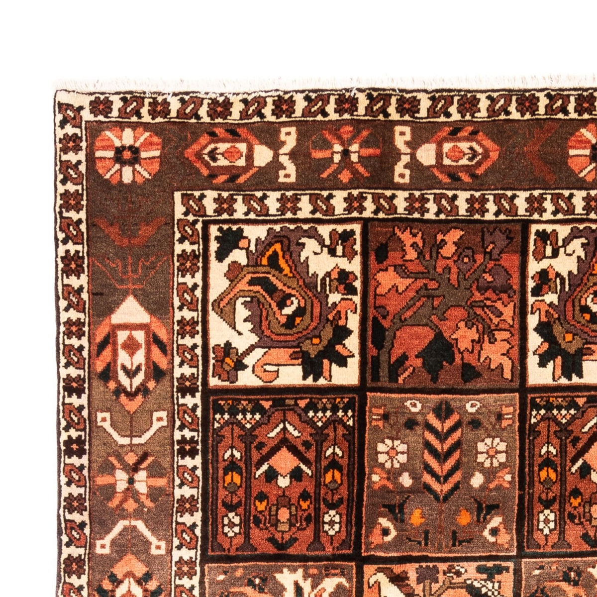 Perser Rug - Nomadic - 307 x 206 cm - multicolored