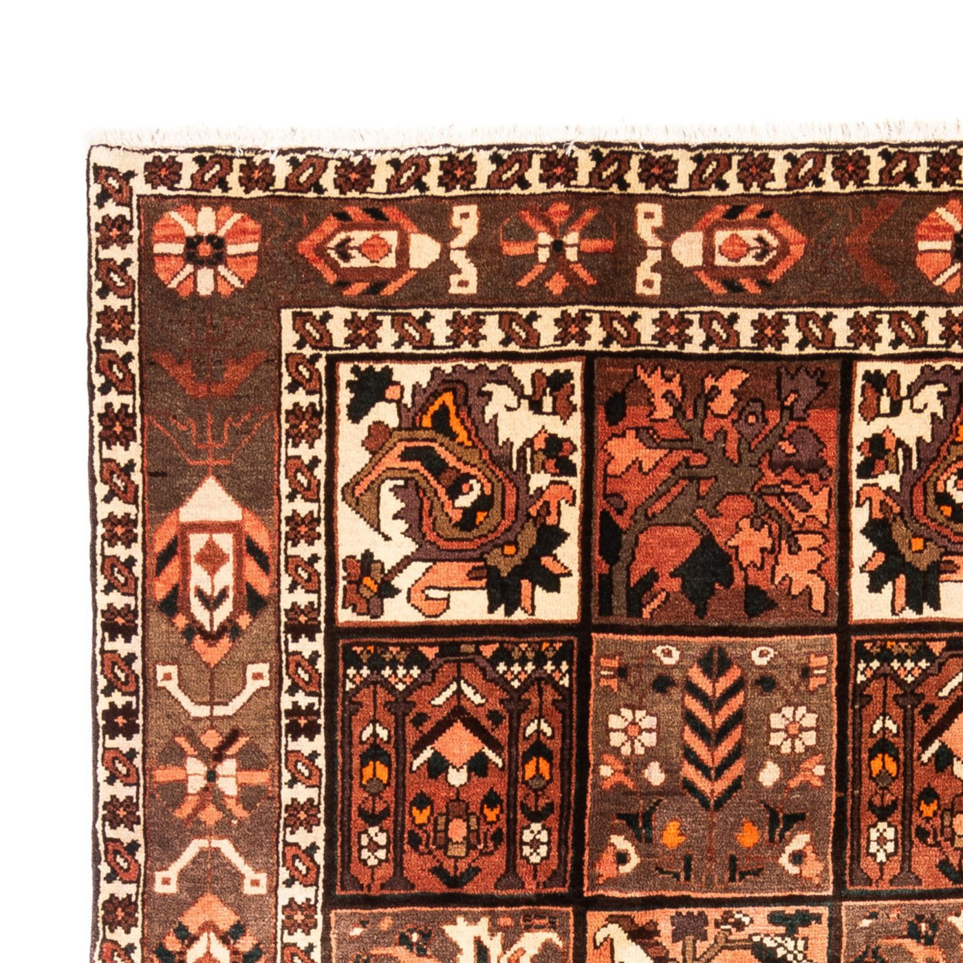 Bakhtiari Rug 307x206cm - Persian Rugs