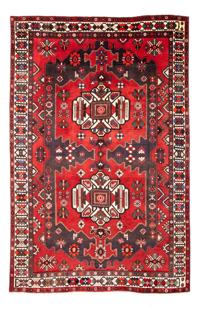 Bakhtiari Rug 207x317cm - Persian Rugs