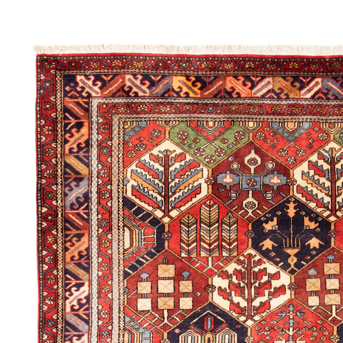 Gabbeh Persian Rug 325x218cm - Perserteppich Wollteppich