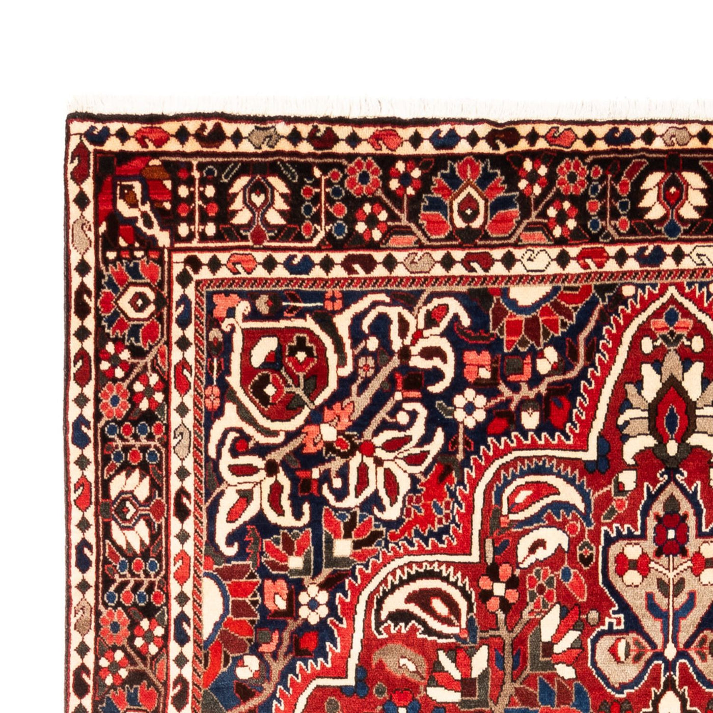Bakhtiari Rug 315x207cm - Persian Rugs