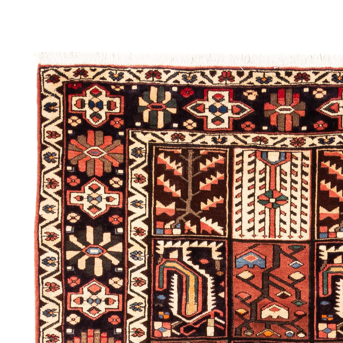 Bakhtiari Rug 200x290cm - Persian Rugs