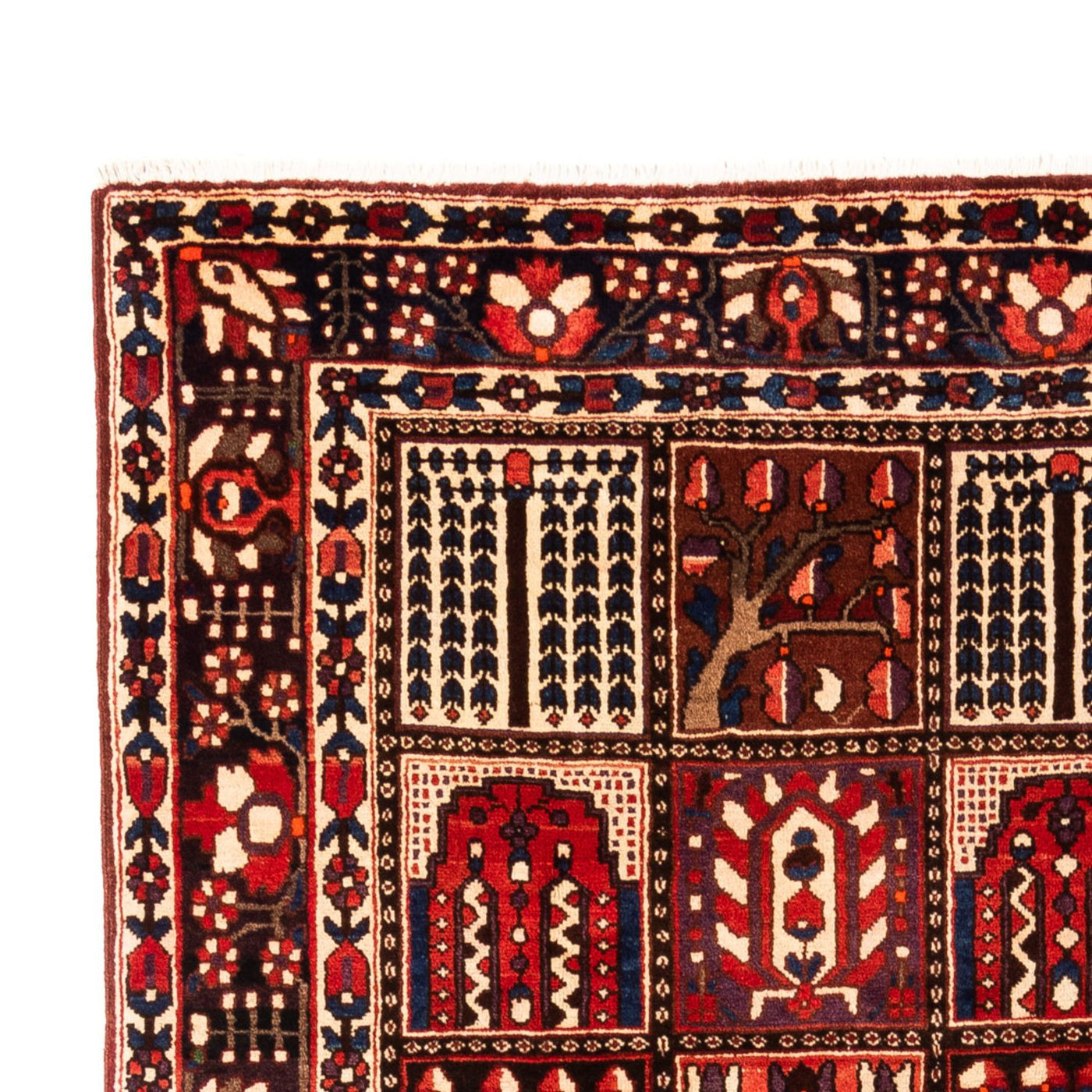 Bakhtiari Rug 317x210cm - Persian Rugs
