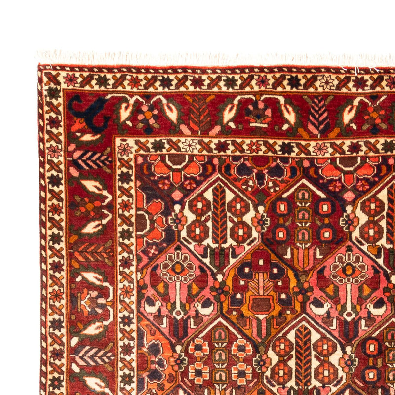 Perser Rug - Nomadic - 308 x 210 cm - multicolored