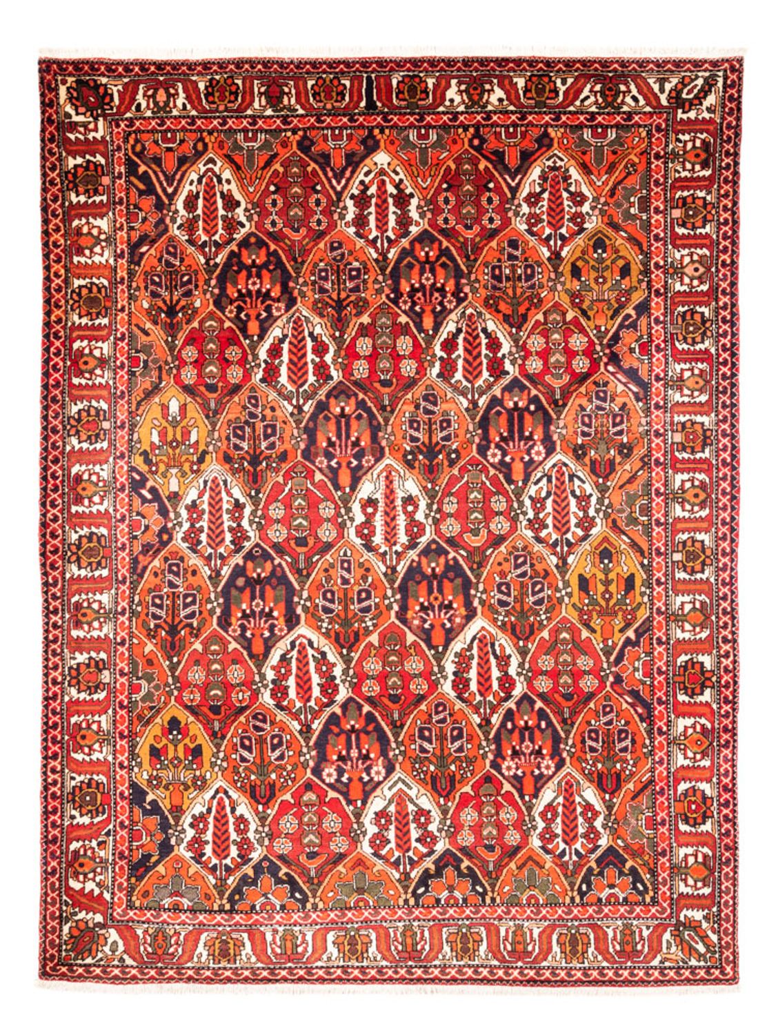Perser Rug - Nomadic - 300 x 220 cm - multicolored