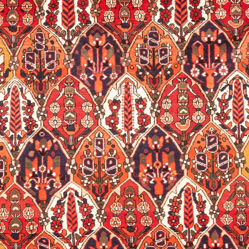 Perser Rug - Nomadic - 300 x 220 cm - multicolored