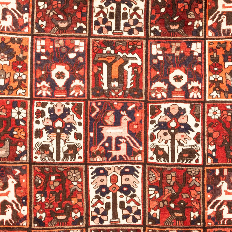 Bakhtiari Rug 307x205cm - Persian Rugs