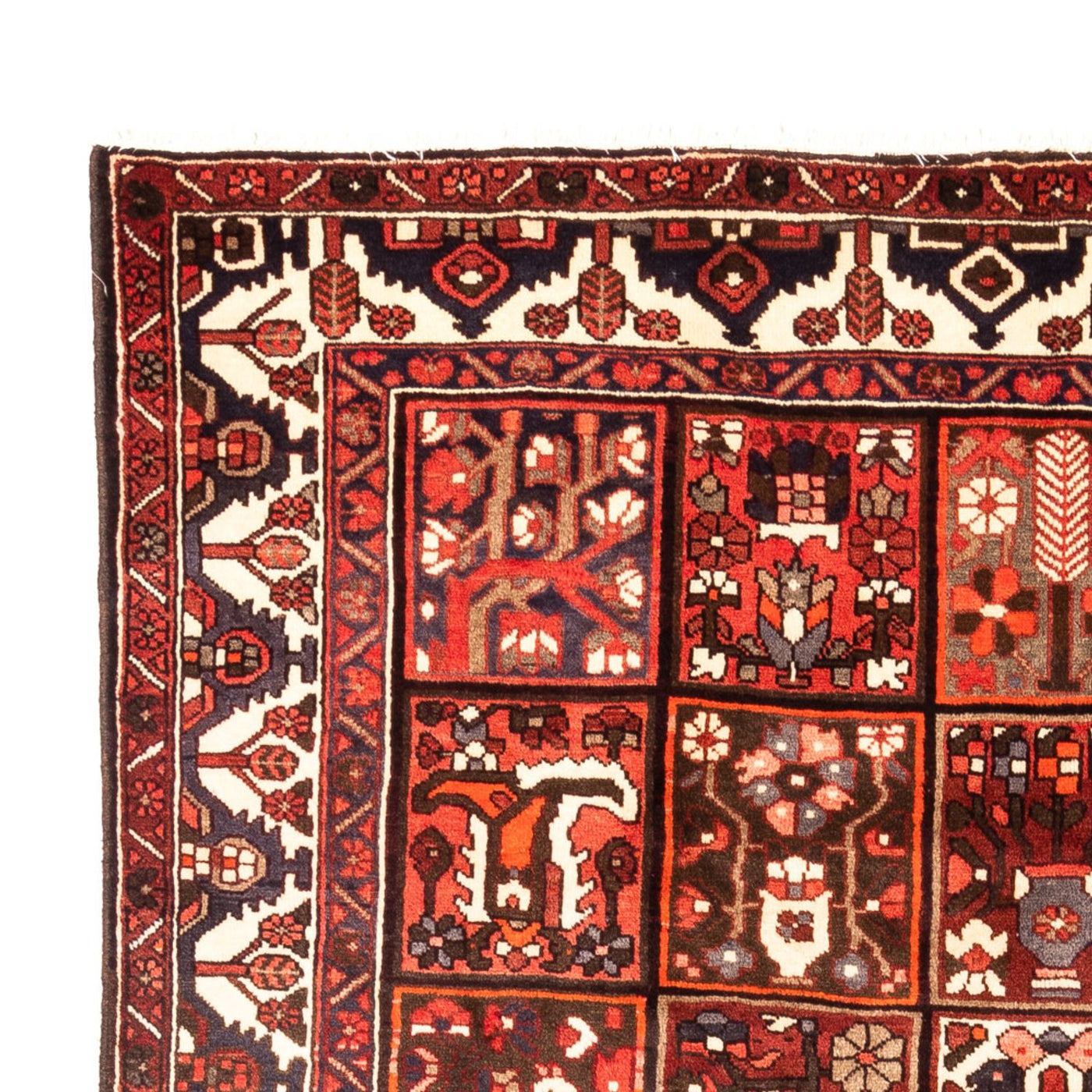 Bakhtiari Rug 307x205cm - Persian Rugs