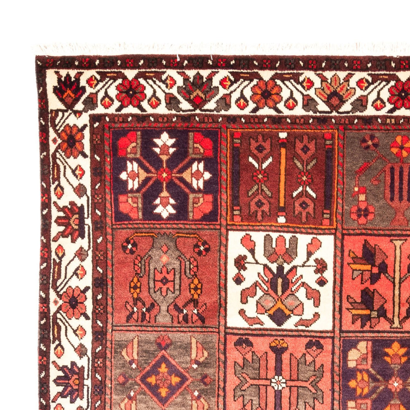 Bakhtiari Rug 294x210cm - Persian Rugs