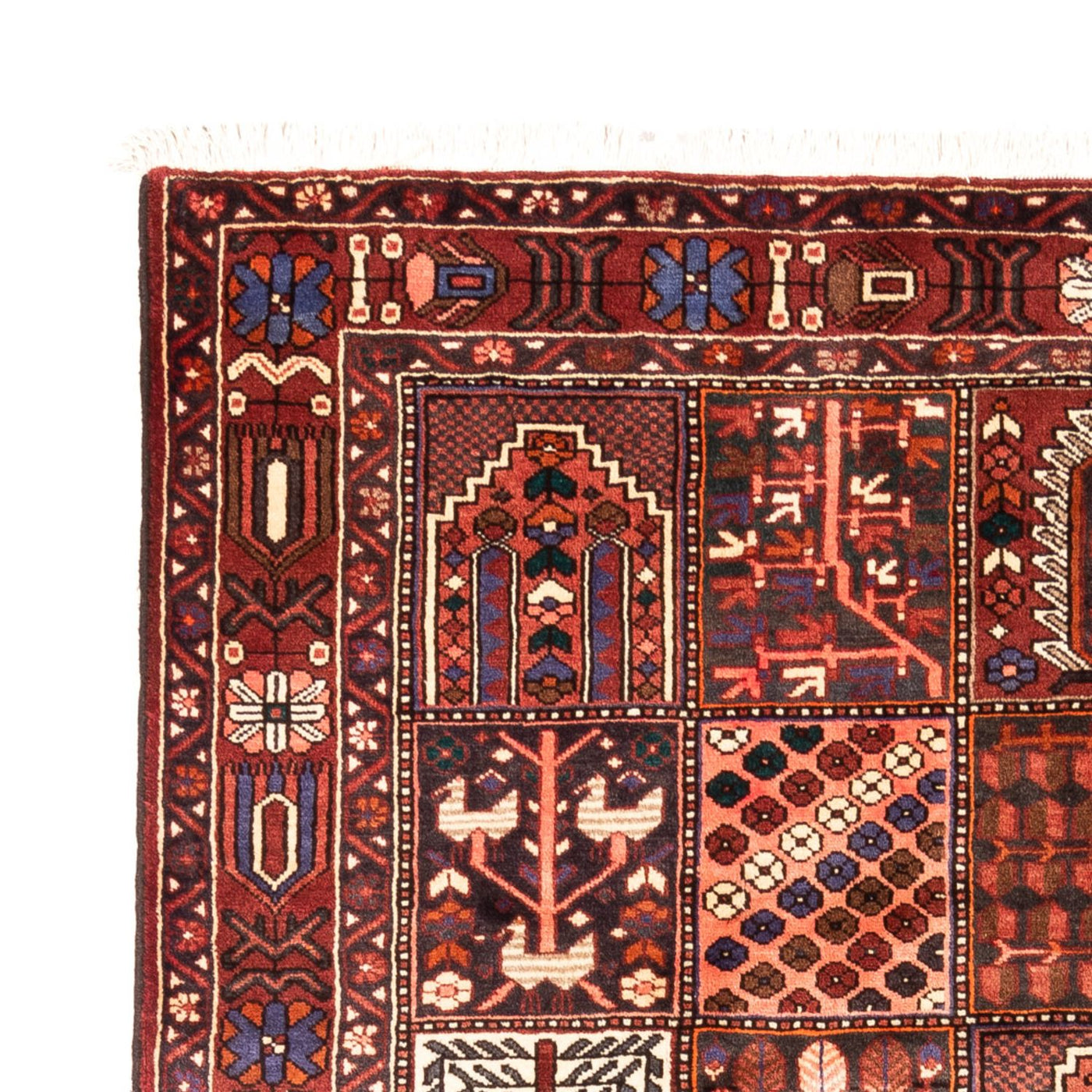 Bakhtiari Rug 310x208cm - Persian Rugs